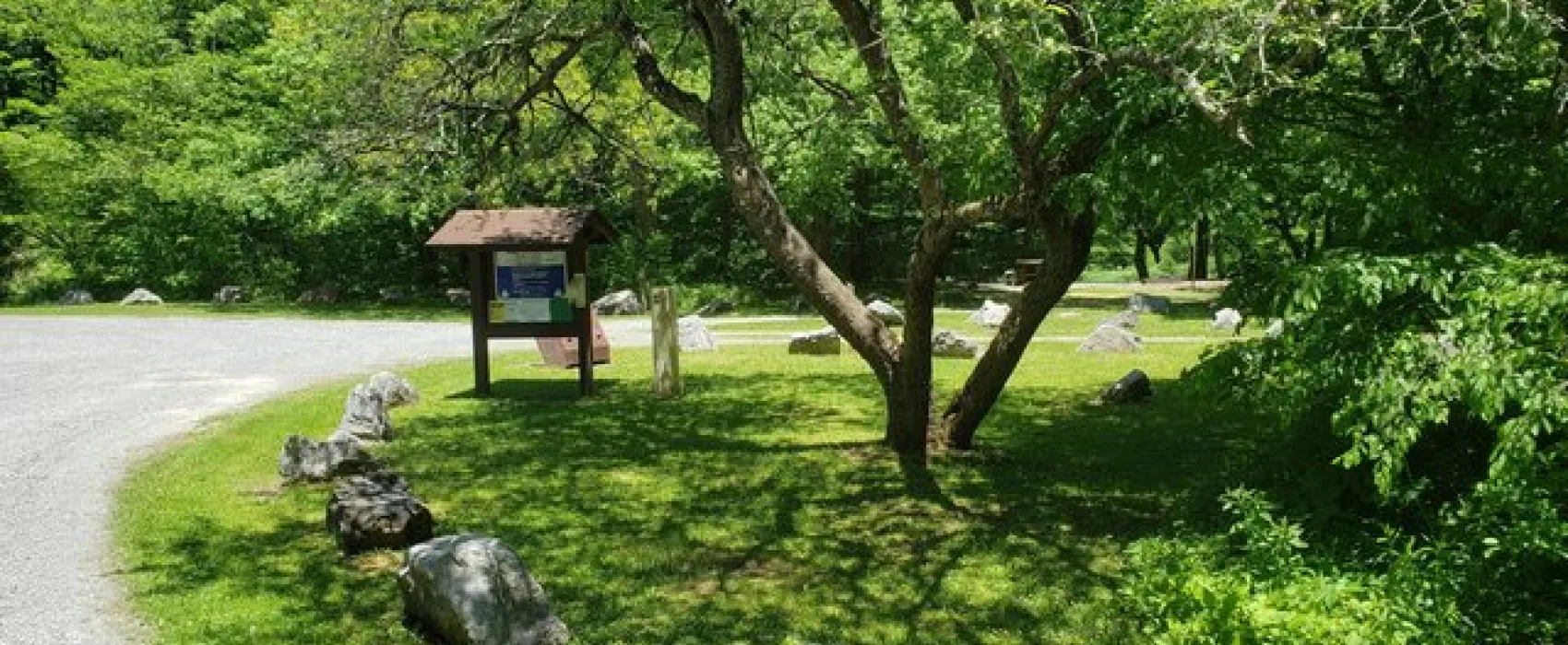 Williams River Designated Campsites