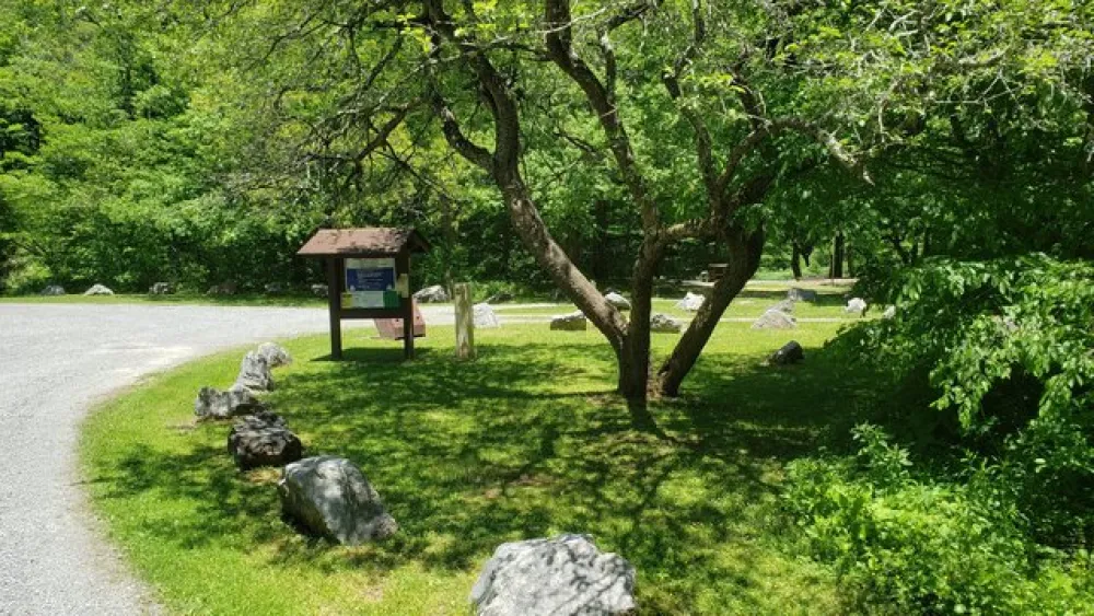 Williams River Designated Campsites