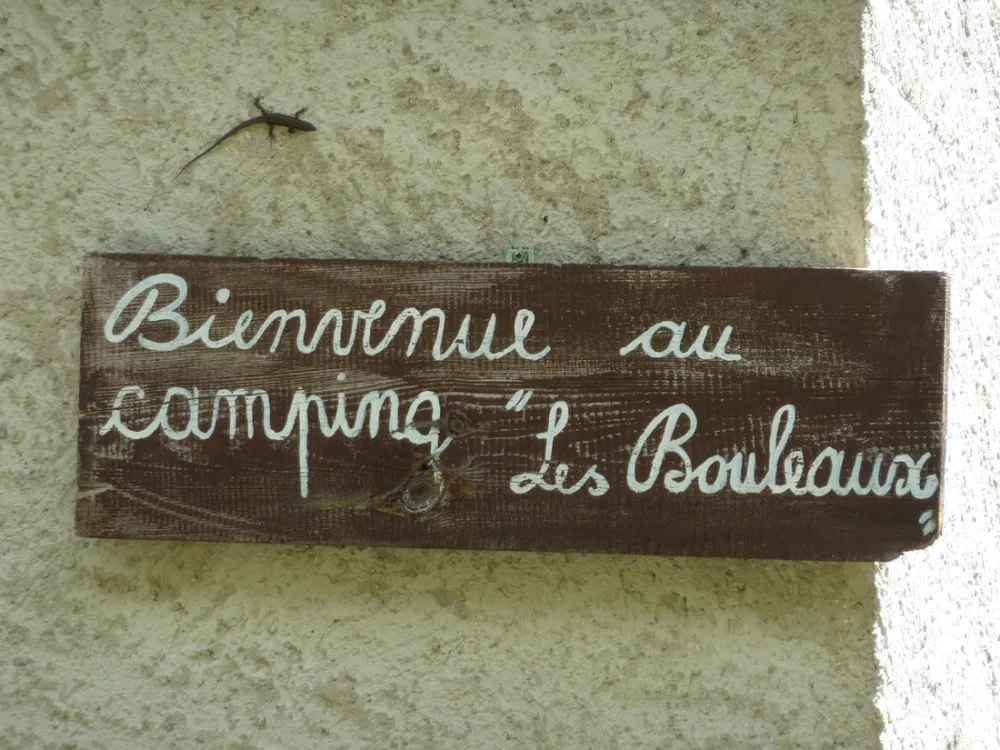 Les Bouleaux