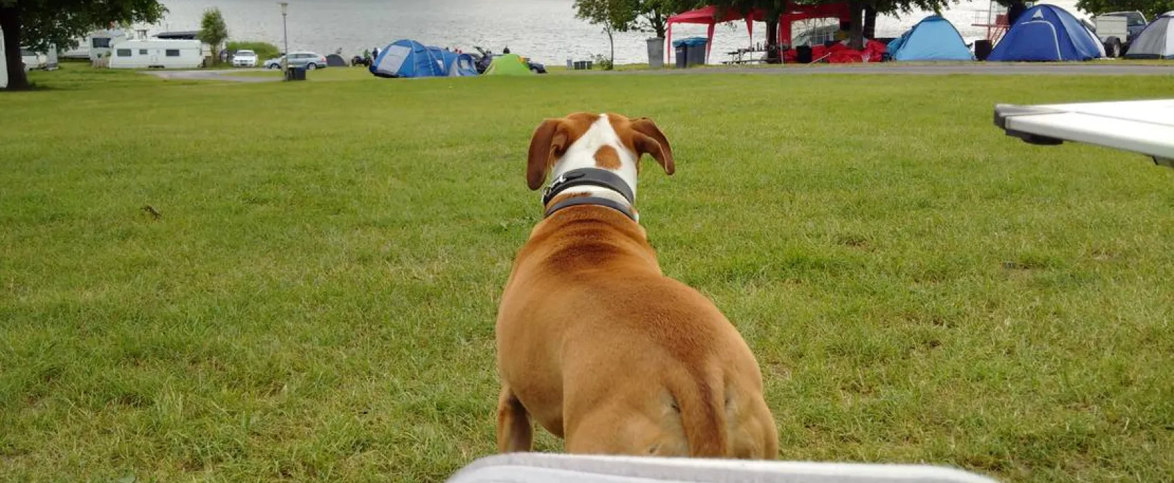 Camping Bergsee Ratscher