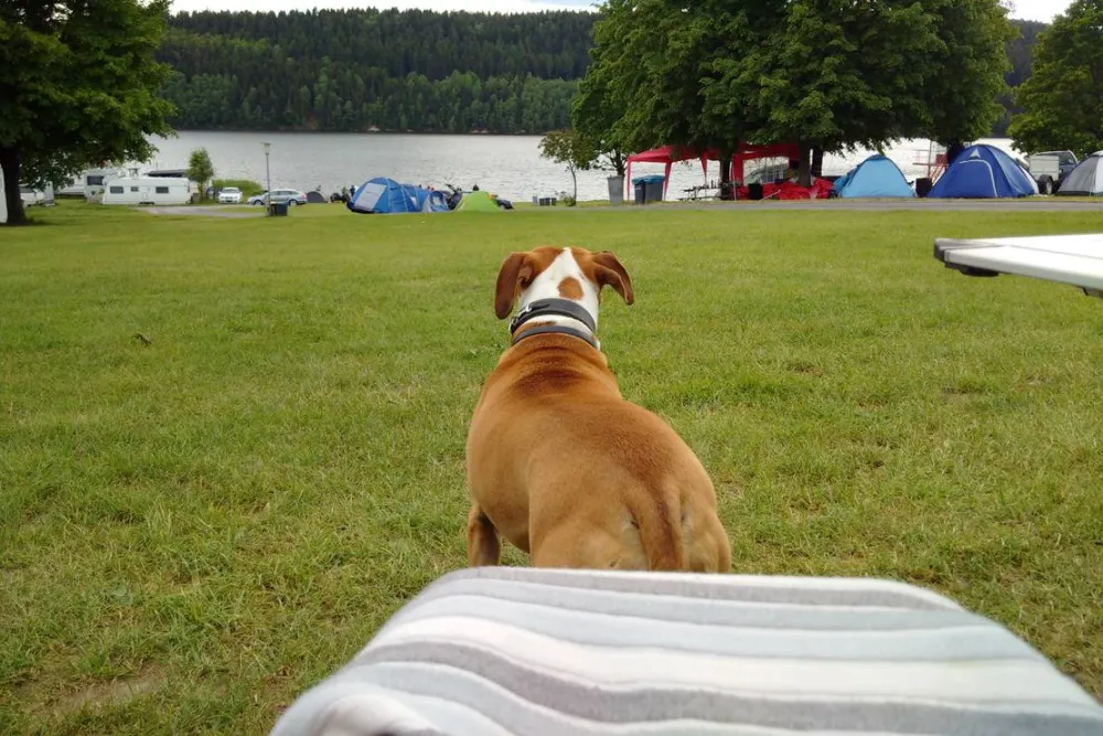 Camping Bergsee Ratscher