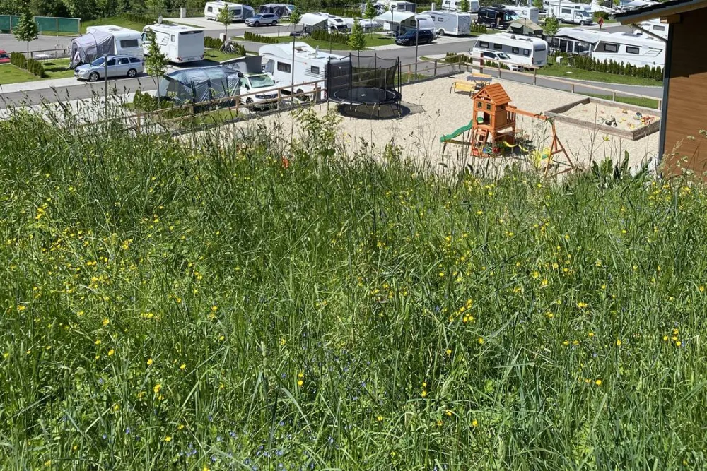 Camping Resort Bodenmais