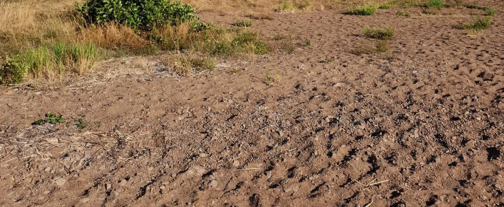 Askeviksbadets Camping-stugor