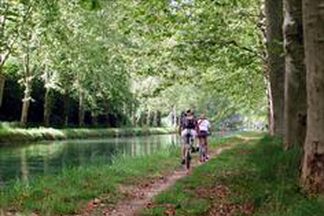 Camping du Chateau d'Allot photo 5