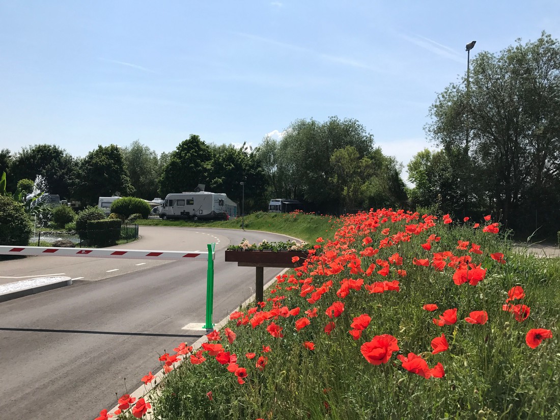 vorzeltteppich camping PREMIUM Vorzeltteppich mit abnehmbarer Windschürze main image 1