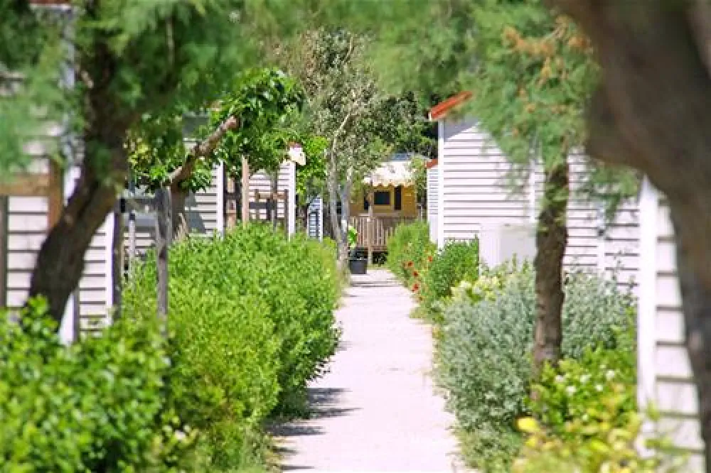 Camping LVL les Ayguades