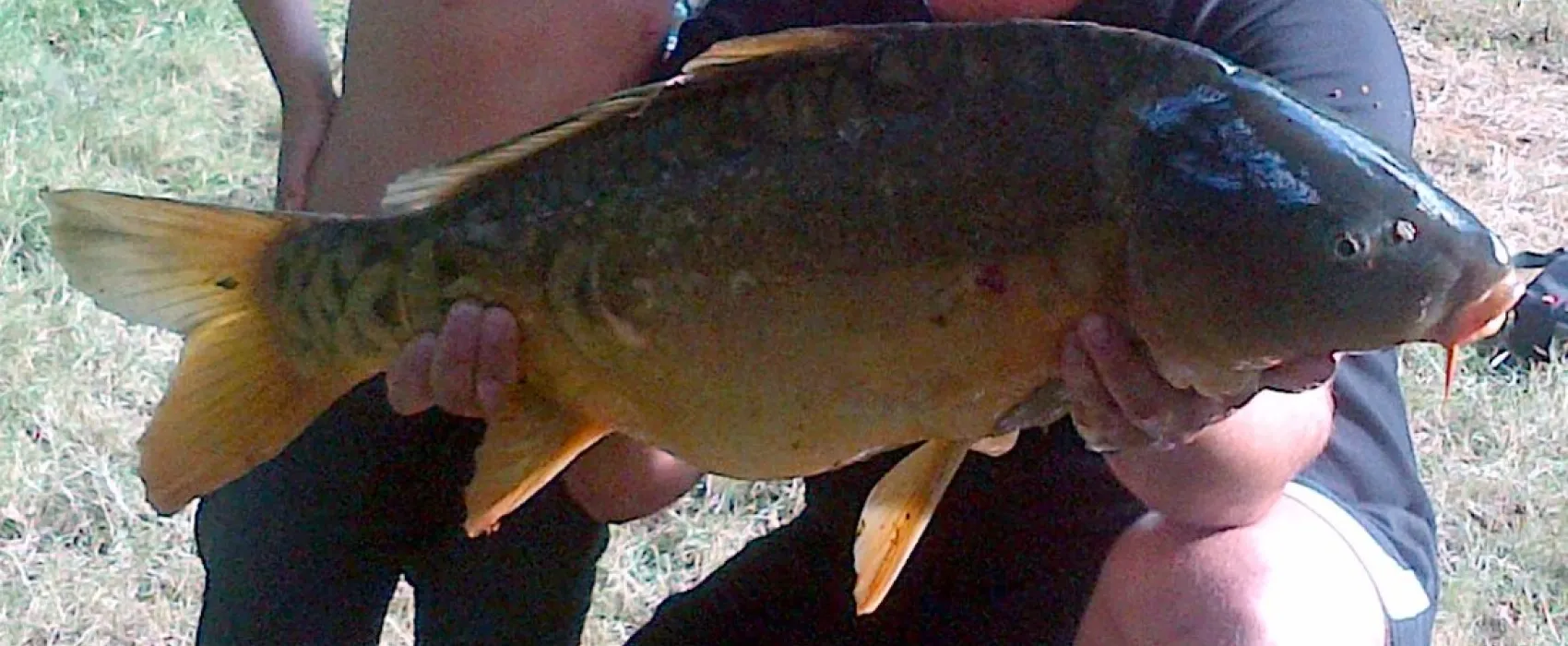 Camping Les Pialades  