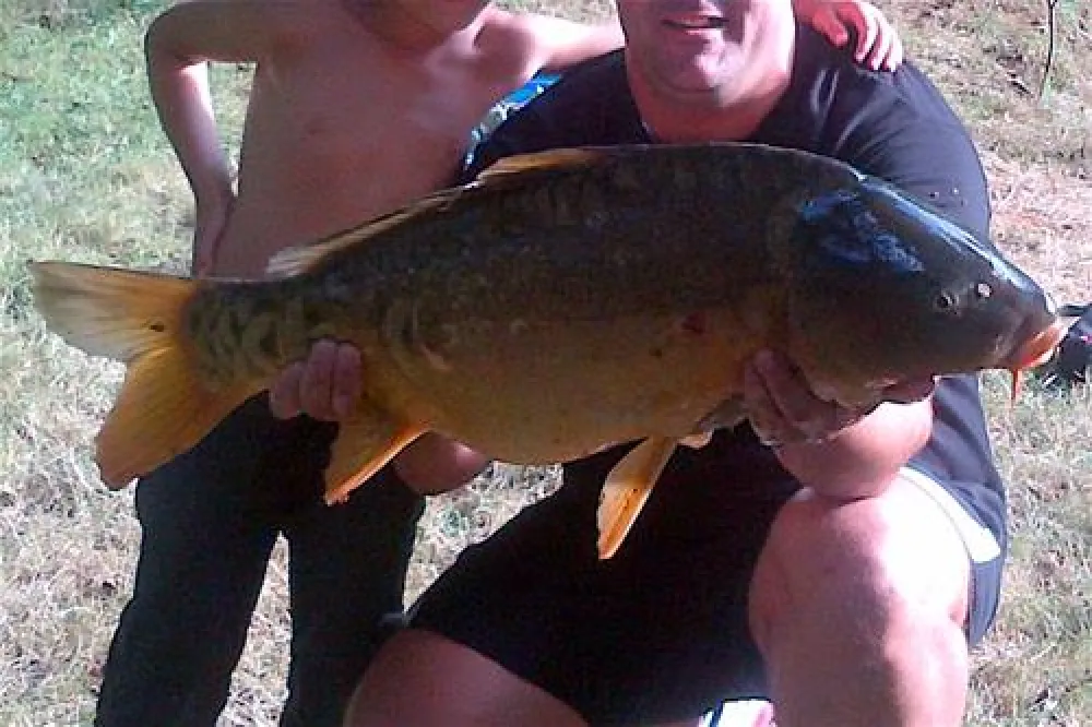 Camping Les Pialades  