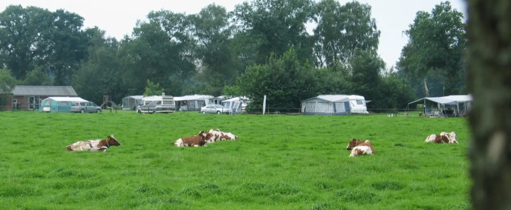 Boerderijcamping De Elshof