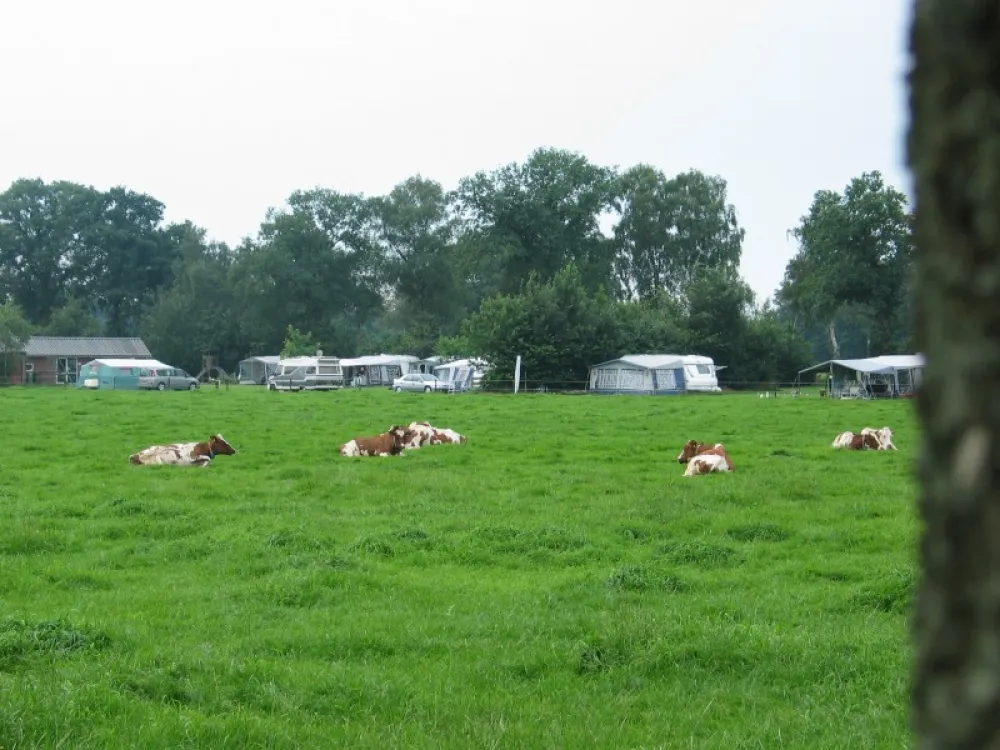 Boerderijcamping De Elshof