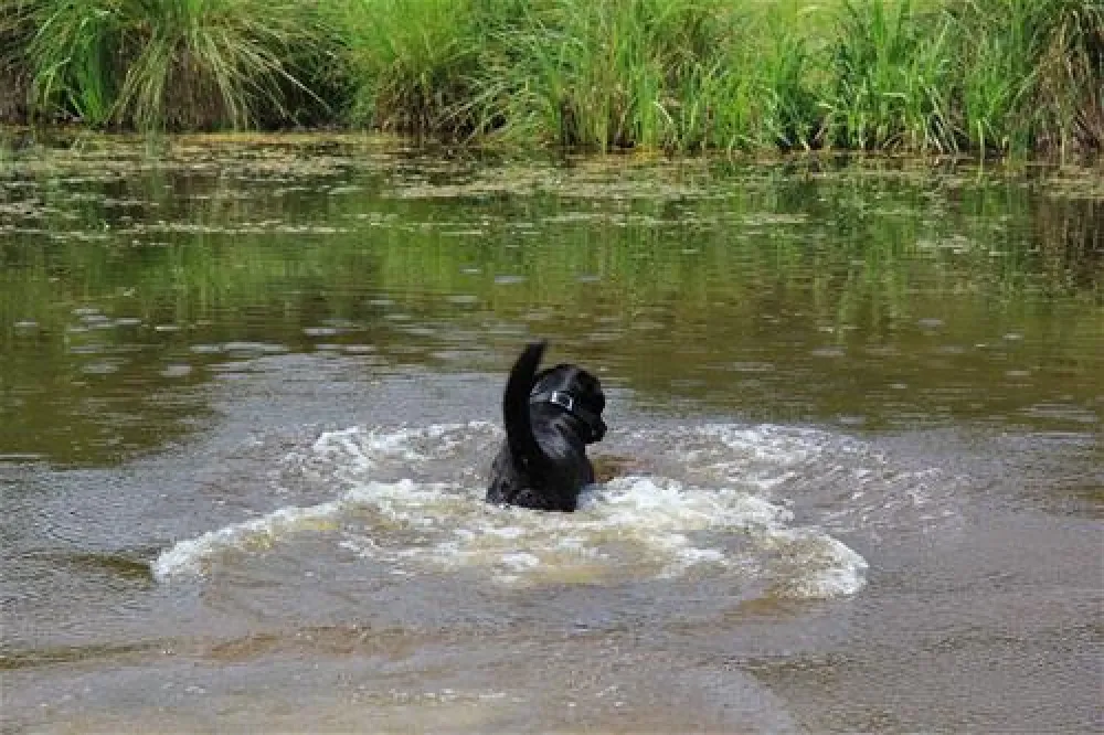 Ostseecamping - Gut Karlsminde