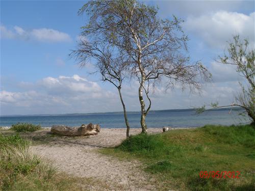 Ostseecamping - Gut Karlsminde in Deutschland - Spottocamp - Spottocamp