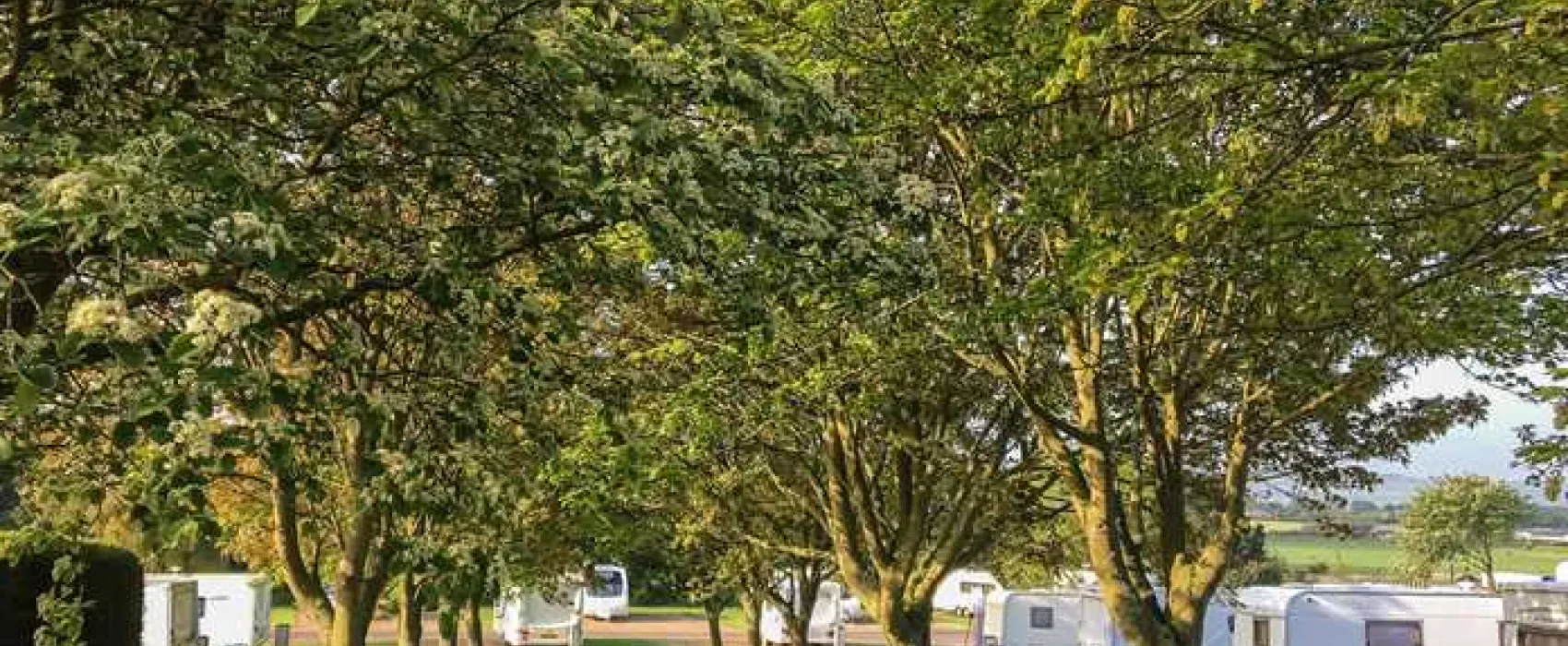 Lebberston Caravan Park