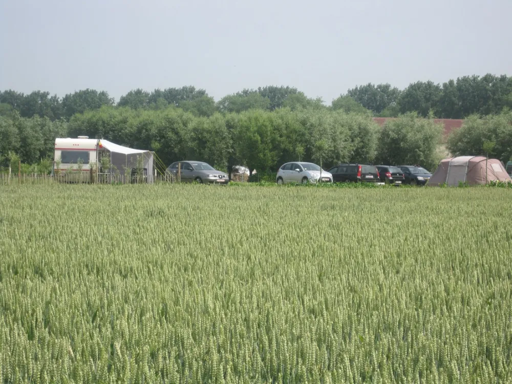 Camping Hoeve Maedelstede