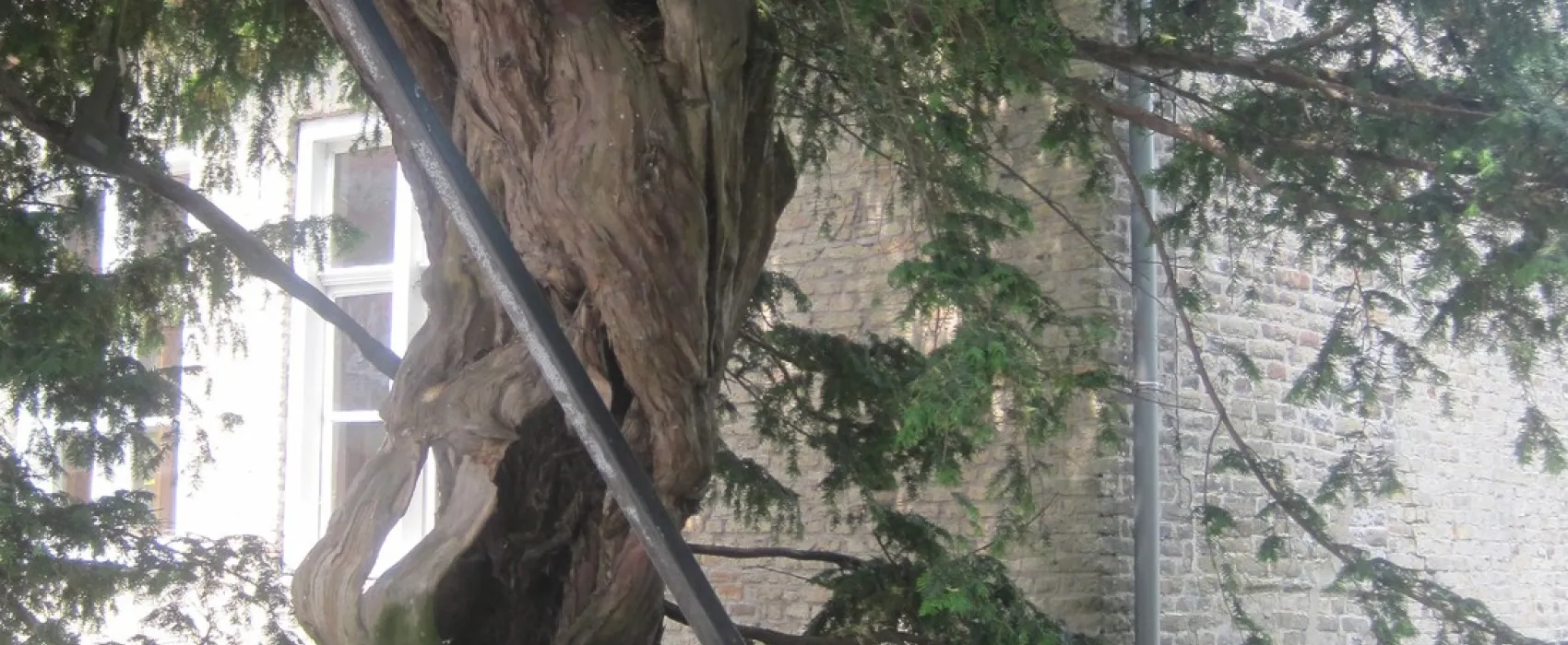 Camping Hoeve Maedelstede