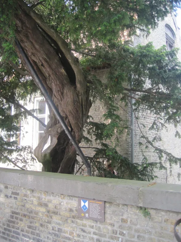 Camping Hoeve Maedelstede