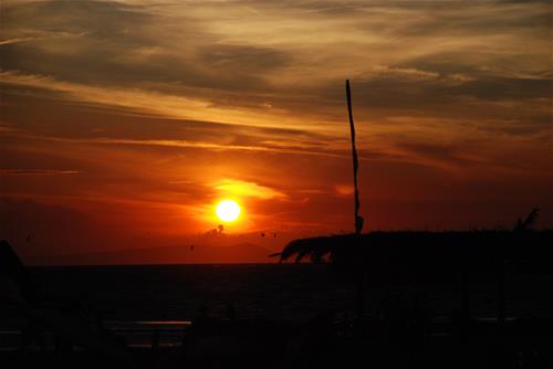 Camping Rio photo 4