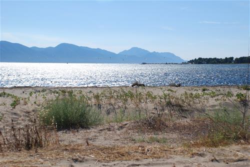 Camping Rio photo 5