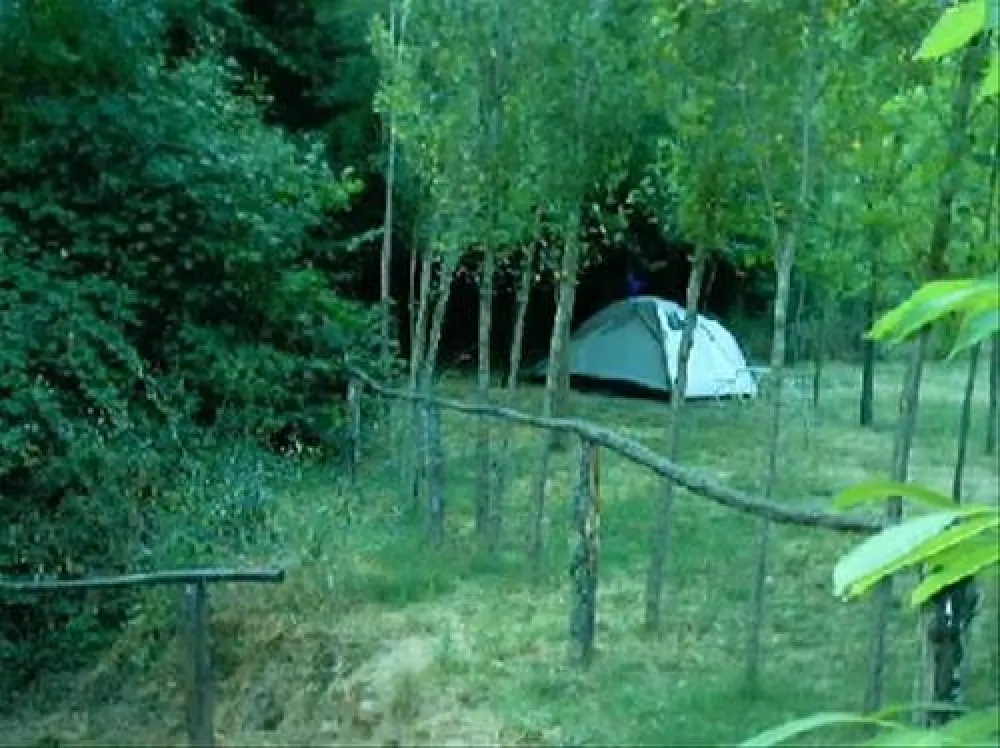 Camping el Martinete