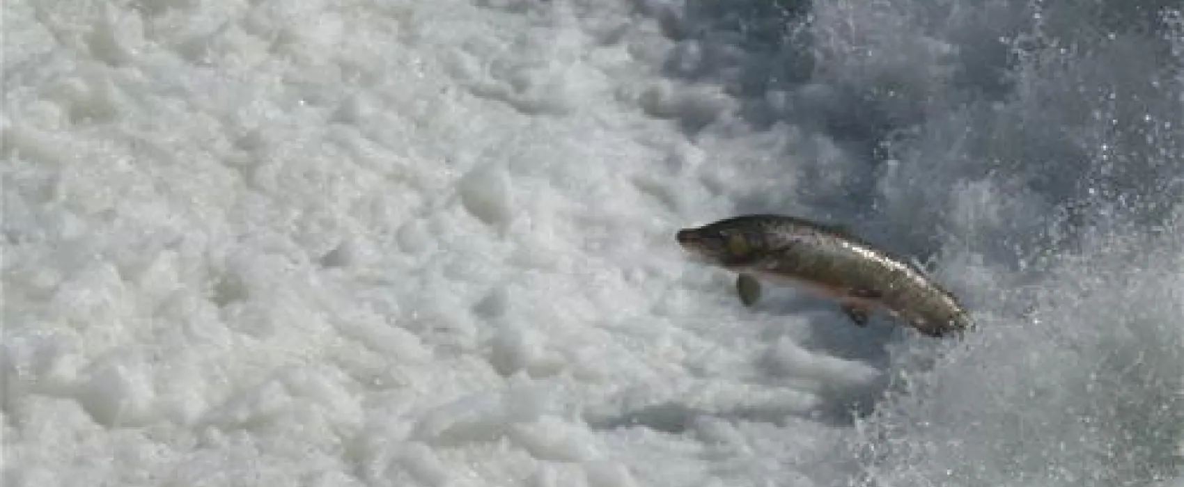 Sikfors Konferens & Fritidsby