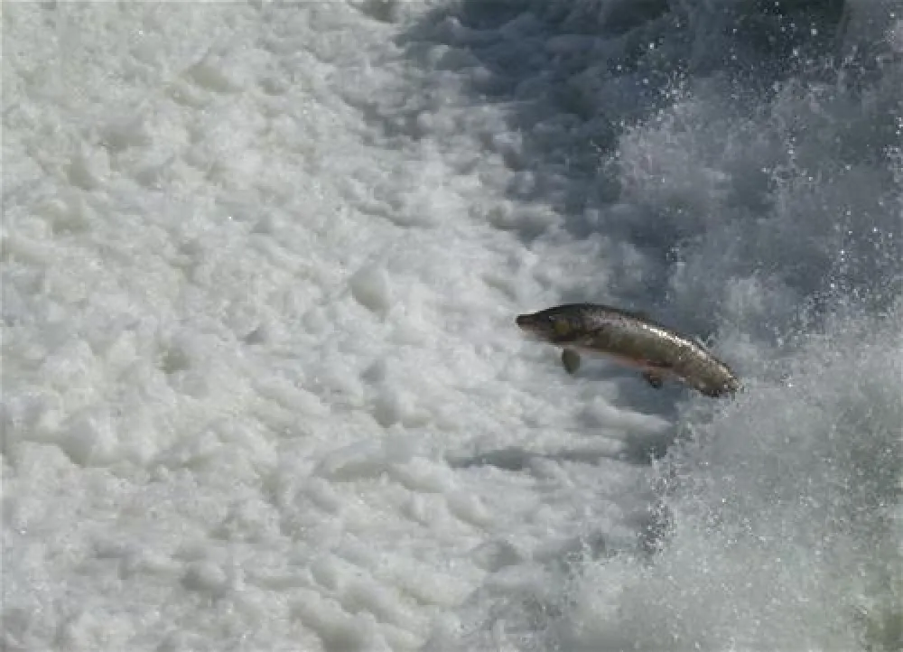 Sikfors Konferens & Fritidsby