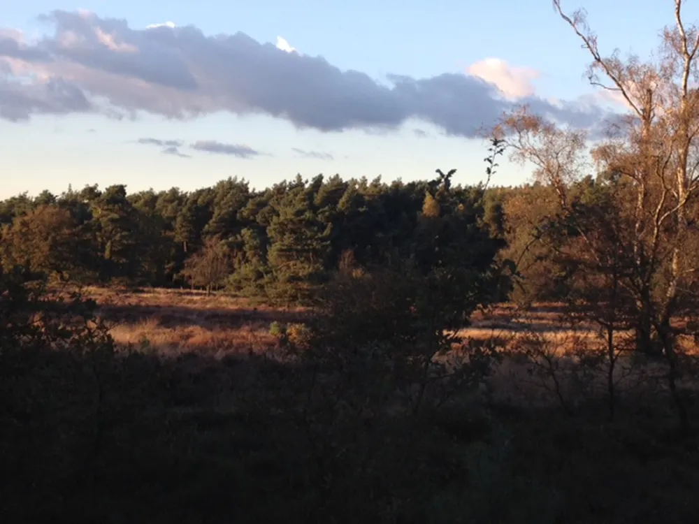 Buitenplaats Beekhuizen