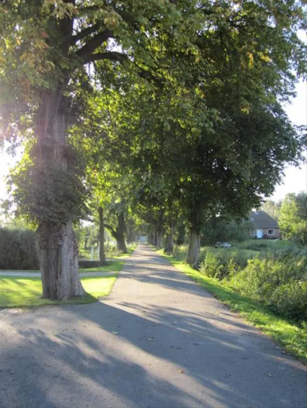 Campingplatz Krautsand