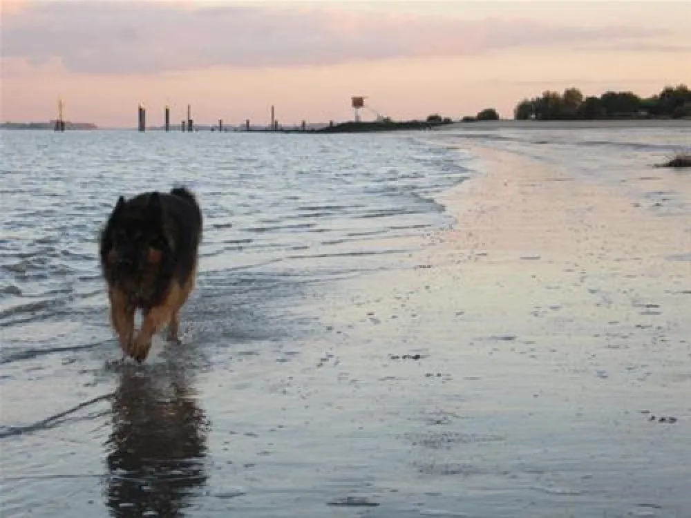Campingplatz Krautsand