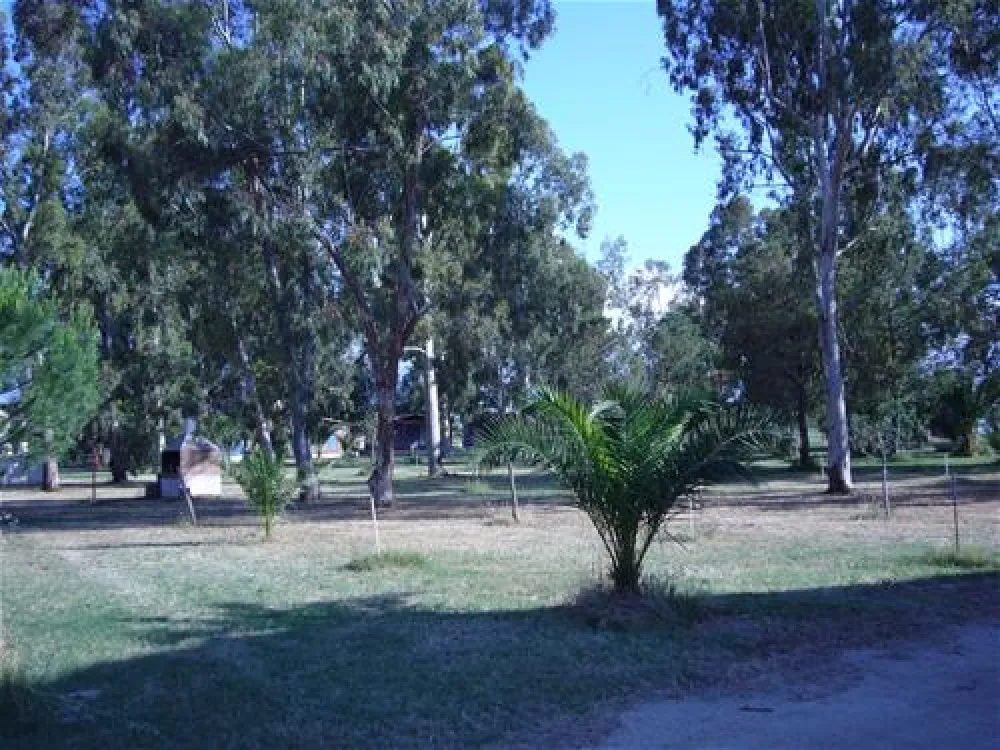 Camping Del Levante