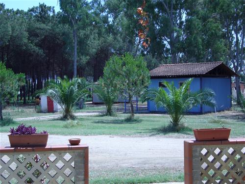 Camping Del Levante photo 5