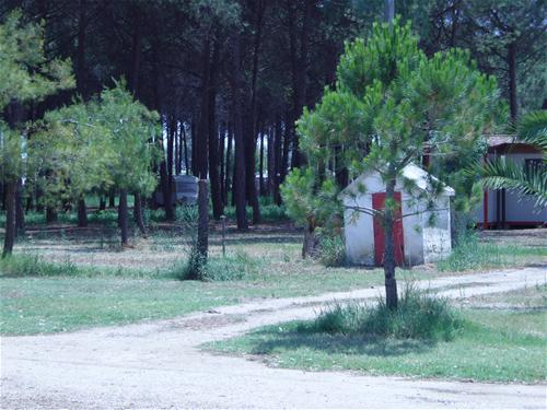 Camping Del Levante photo 2