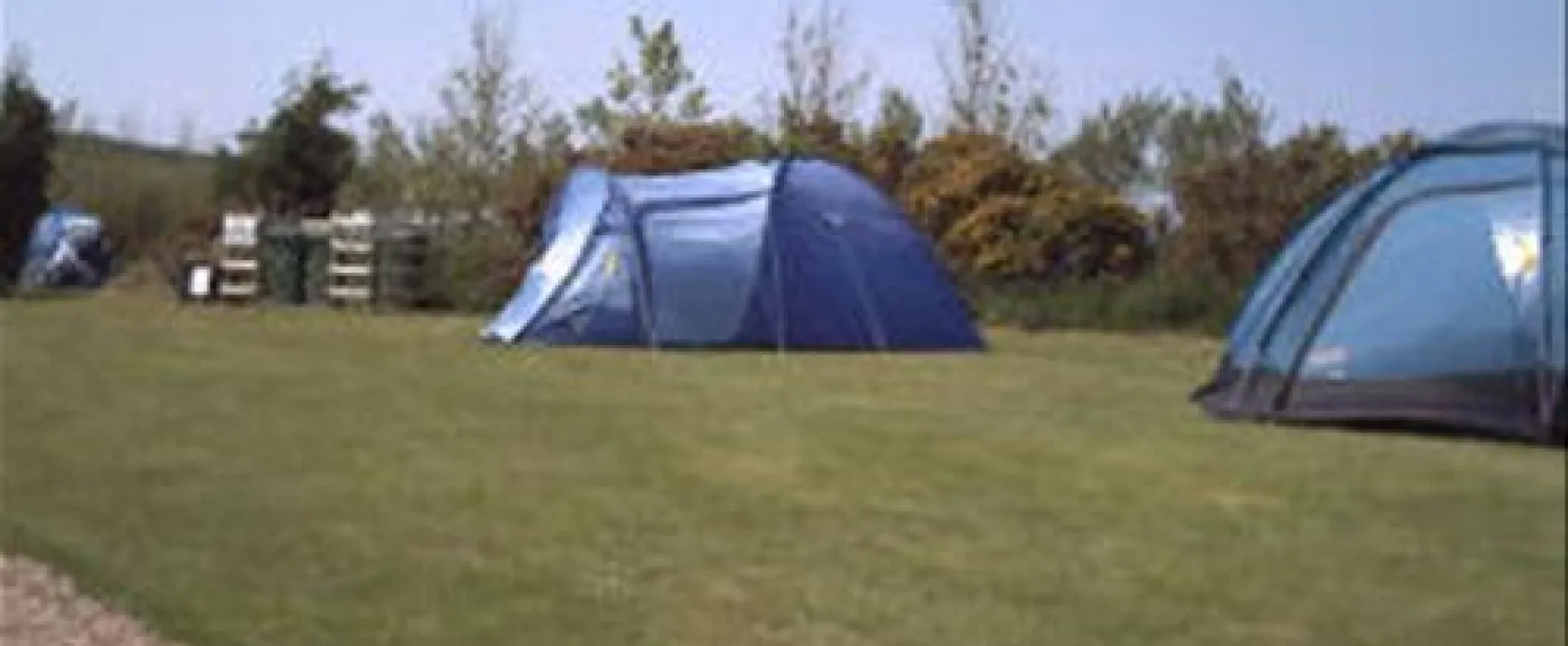 The Willows Abersoch