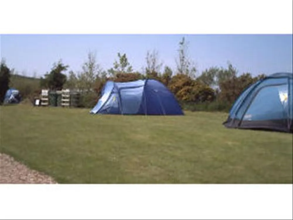 The Willows Abersoch