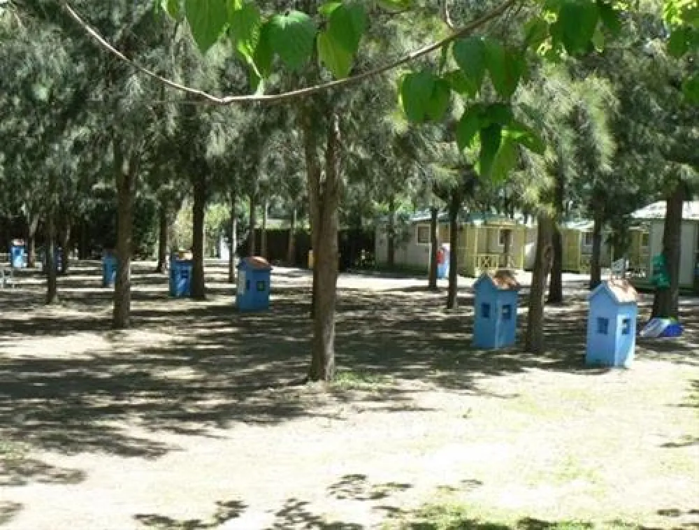 Camping Paloma