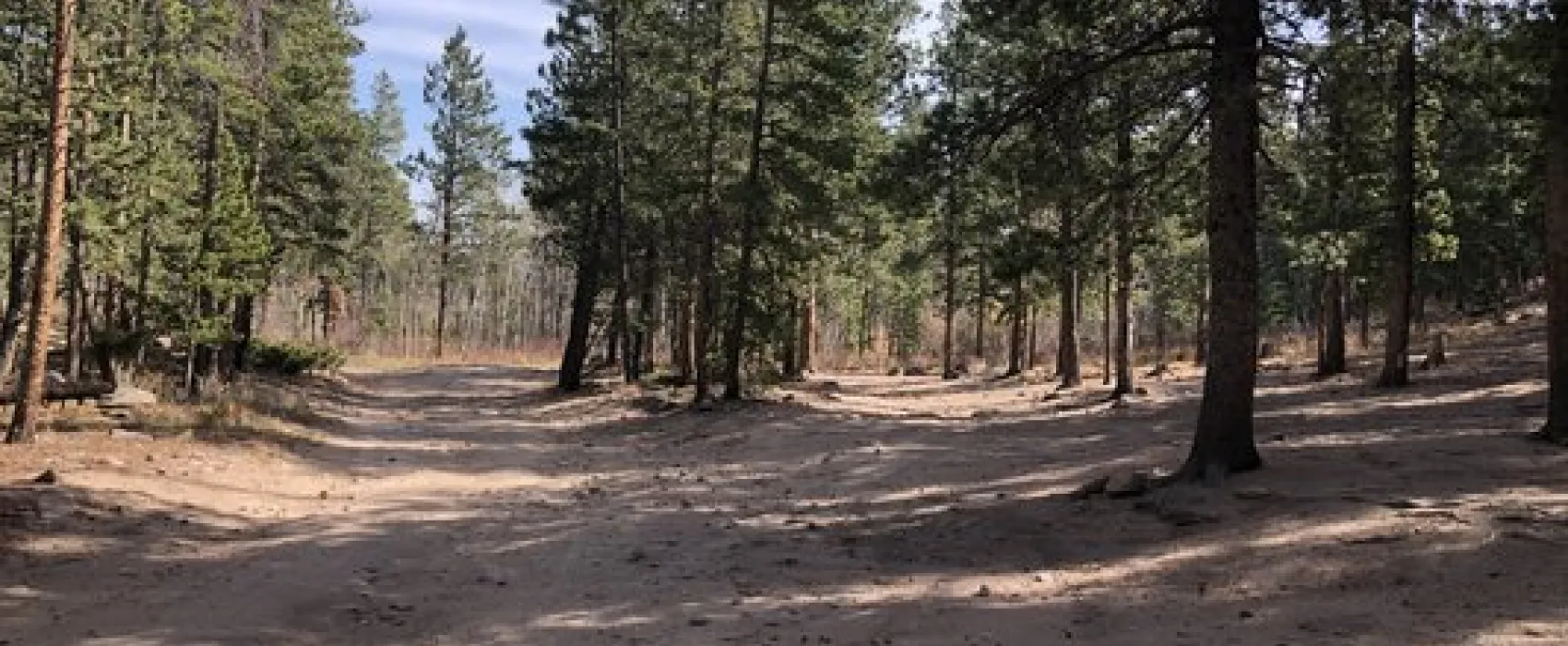 Johnny Park Road Dispersed Camping