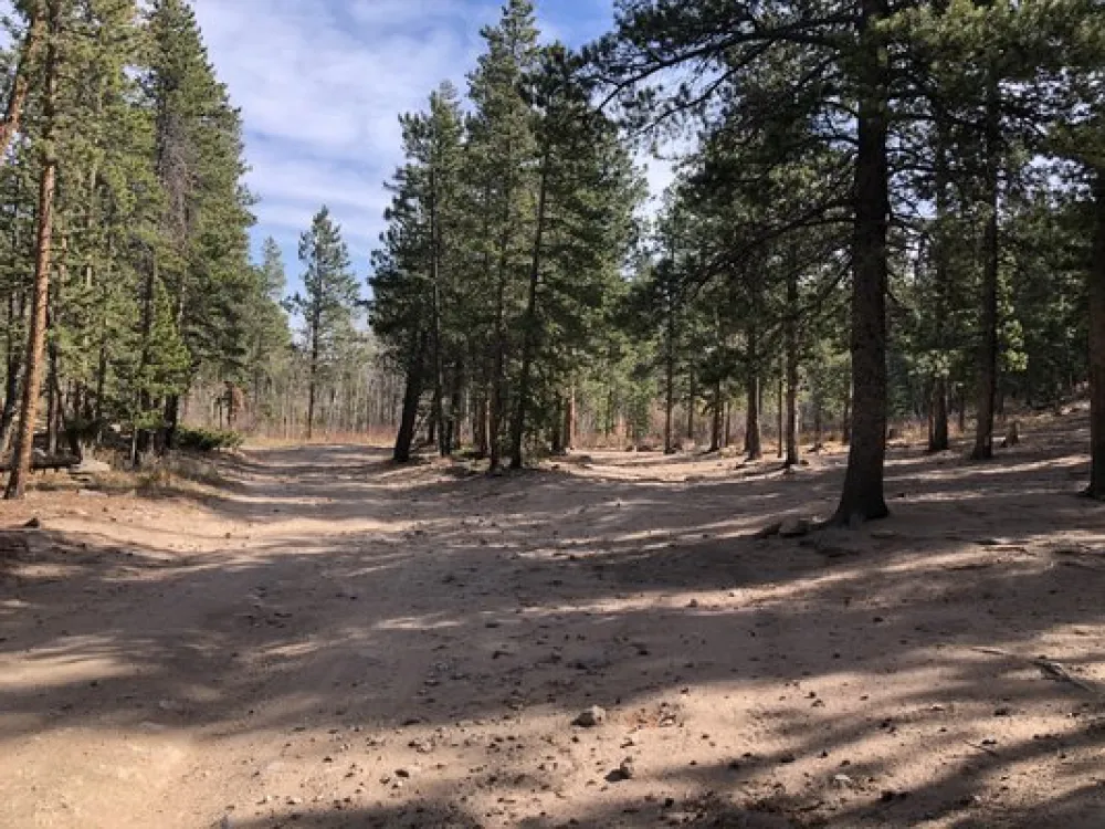 Johnny Park Road Dispersed Camping