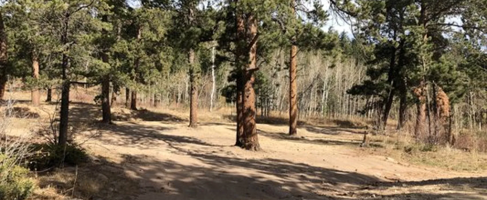 Johnny Park Road Dispersed Camping