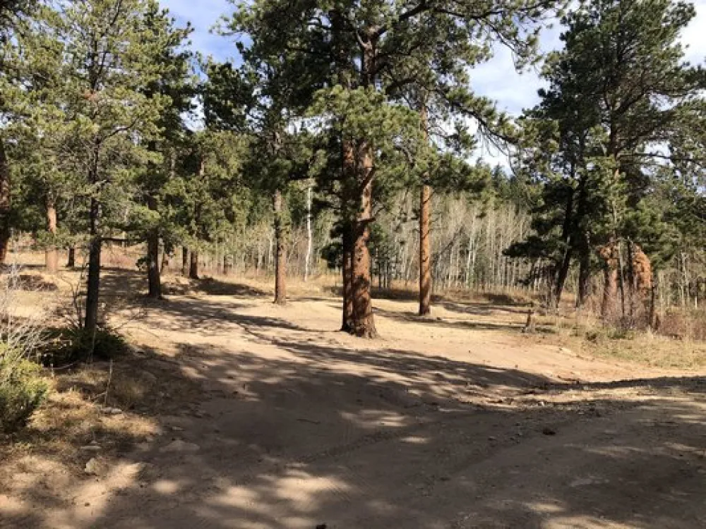 Johnny Park Road Dispersed Camping