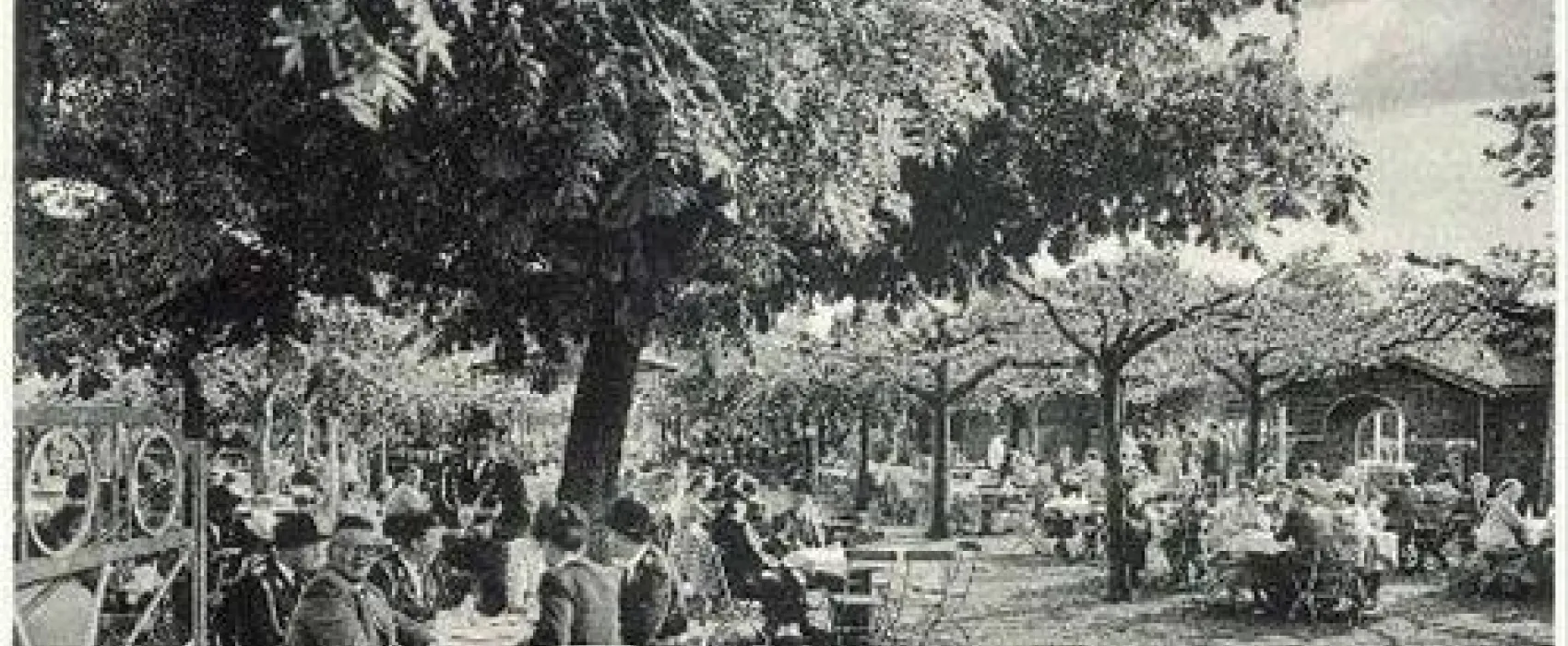 TipiCamp Rocky Mountain