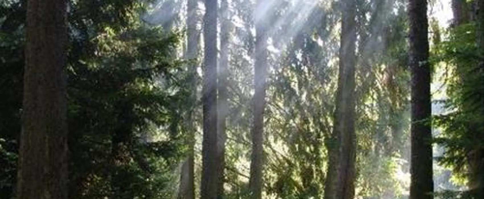 TipiCamp Rocky Mountain