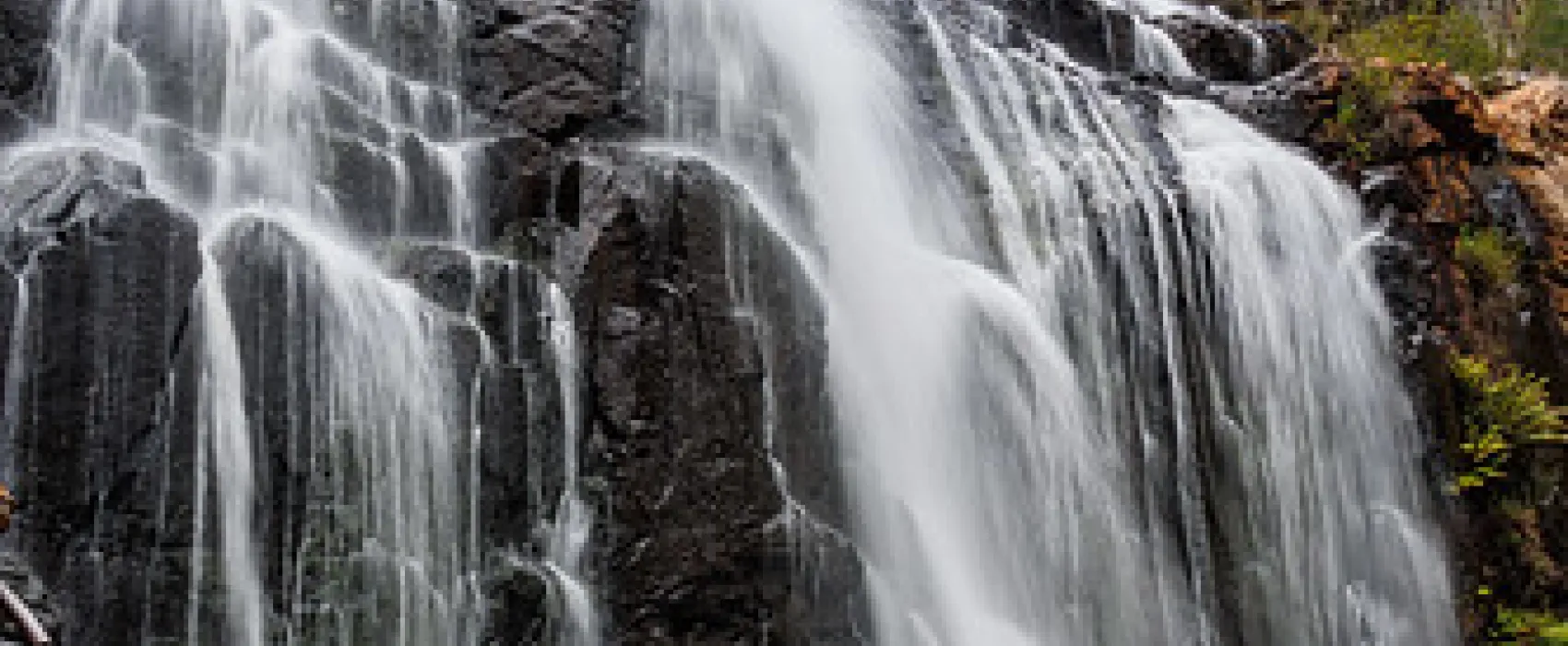 Smith Mill Campground