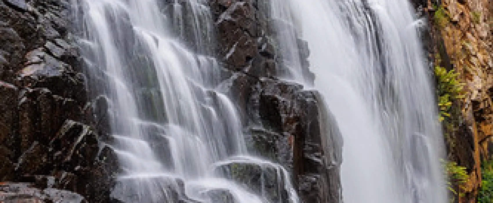 Smith Mill Campground