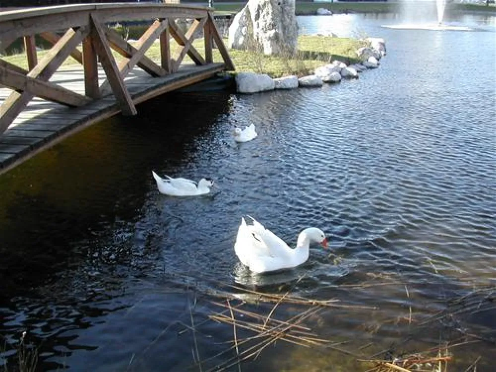 Almtal Camp Pettenbach