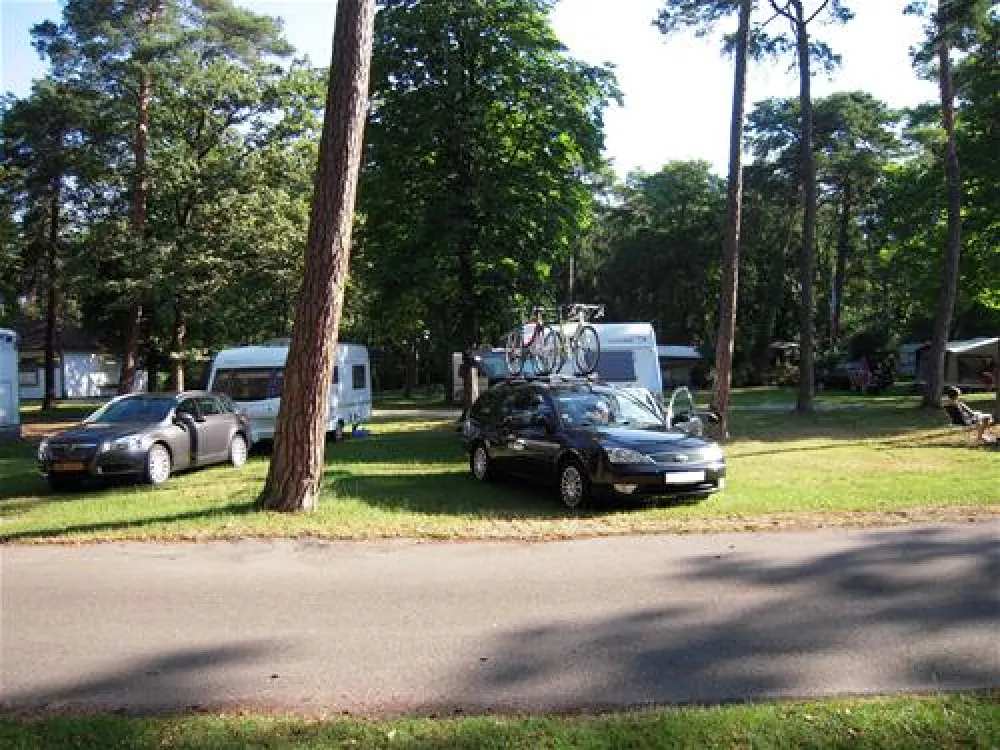 AZUR Waldcamping Ingolstadt