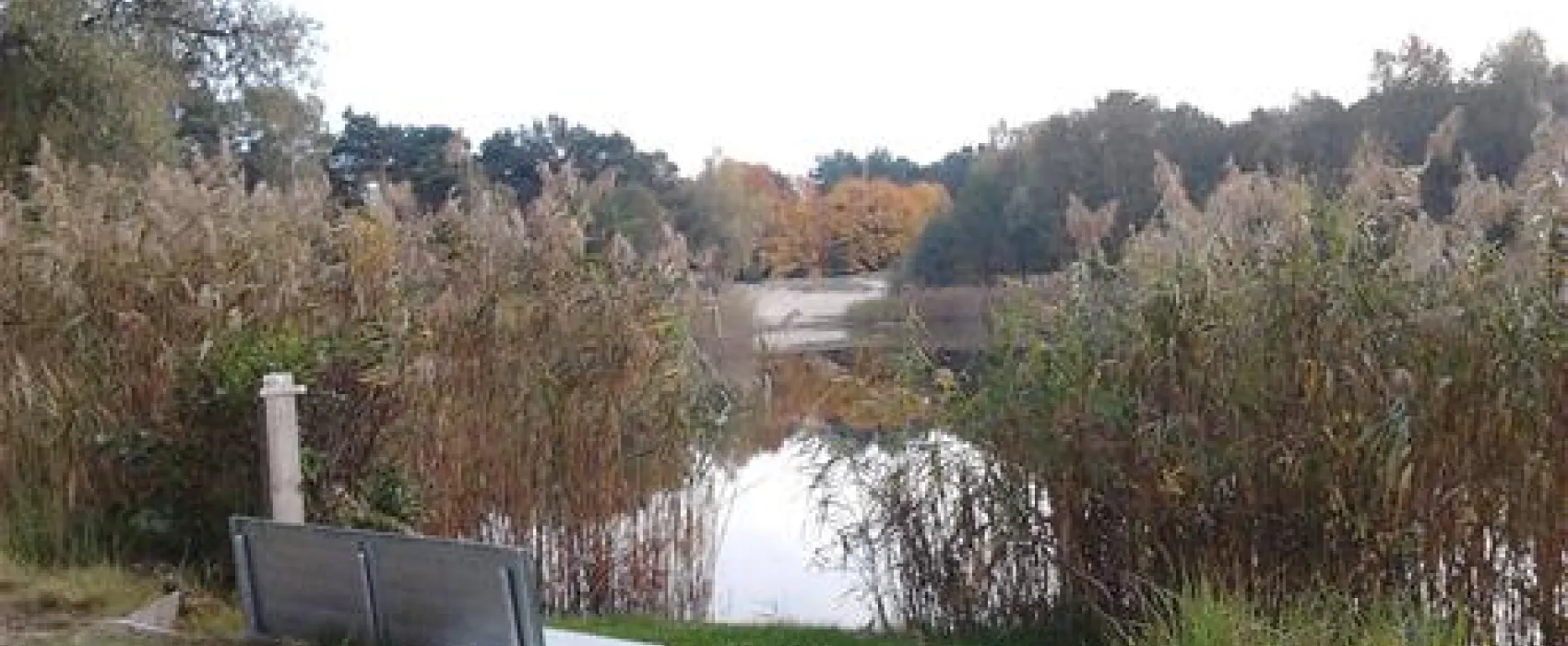 Naturcamping Kiessee