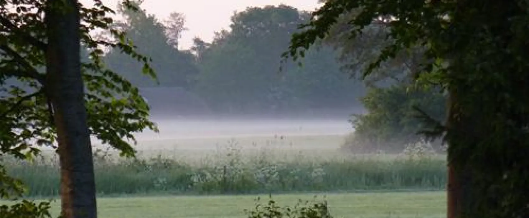 Minicamping Paardelanden