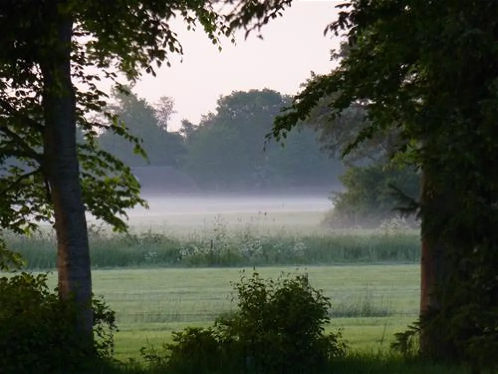 Minicamping Paardelanden