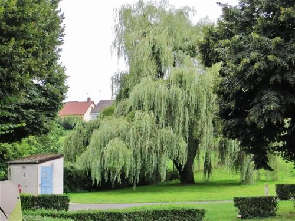 Camping et village-chalets du Breuil