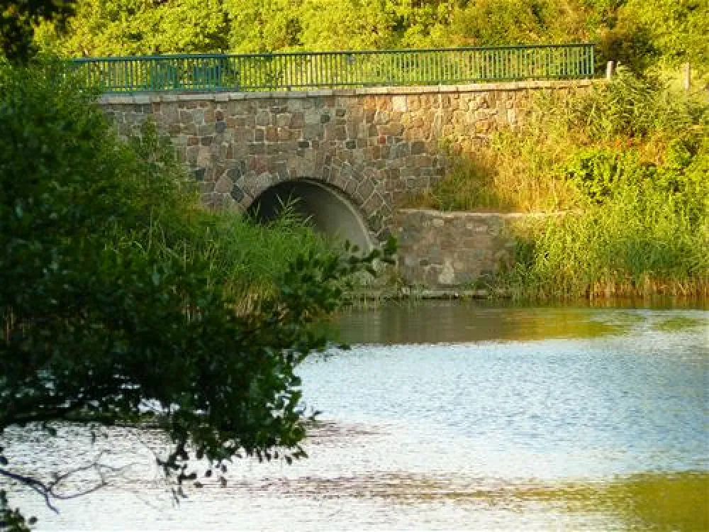 Camping am Bauernhof