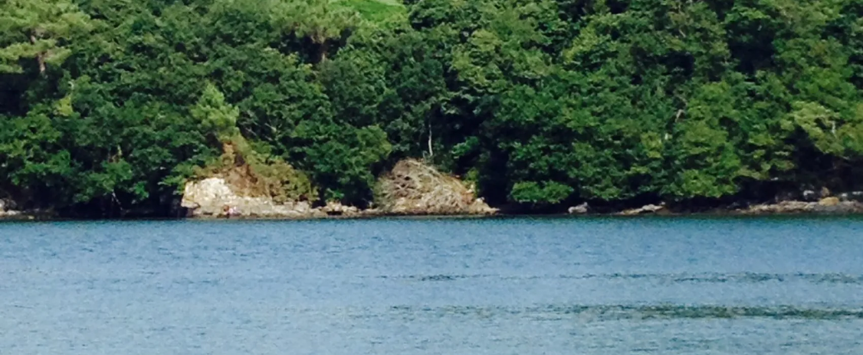 Camping de la Mer blanche